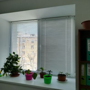 Горизонтальные жалюзи