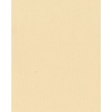 Ролеты тканевые Ара цвет бежевый 2038