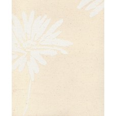 Ролеты тканевые Aврора цвет бежевый 4009