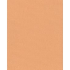 Ролеты тканевые Ара цвет персиковый 1051