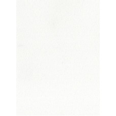 Вертикальные жалюзи AMERICA-0301 белая (127 мм)